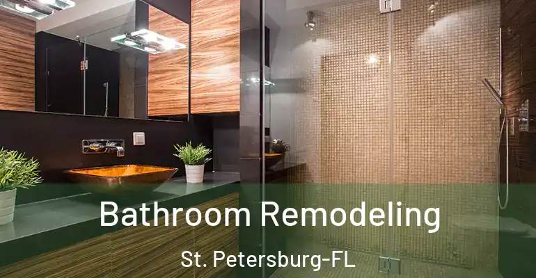 inner Bathroom imggen Bathroom Remodeling St. Petersburg-FL