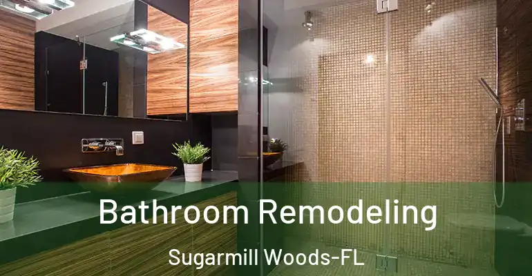 inner Bathroom imggen Bathroom Remodeling Sugarmill Woods-FL