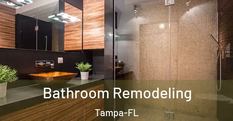 inner Bathroom imggen Bathroom Remodeling Tampa-FL