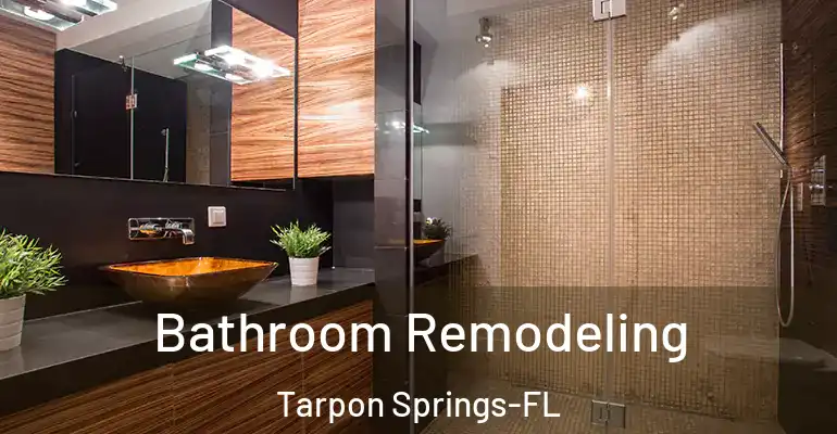 inner Bathroom imggen Bathroom Remodeling Tarpon Springs-FL