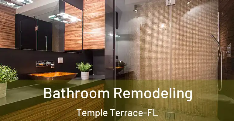inner Bathroom imggen Bathroom Remodeling Temple Terrace-FL