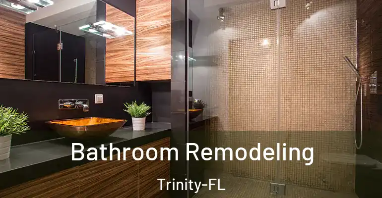 inner Bathroom imggen Bathroom Remodeling Trinity-FL