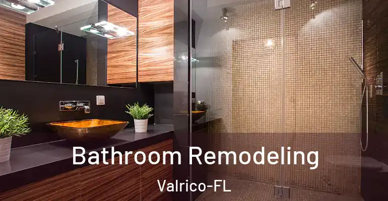 inner Bathroom imggen Bathroom Remodeling Valrico-FL