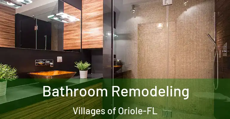 inner Bathroom imggen Bathroom Remodeling Villages of Oriole-FL