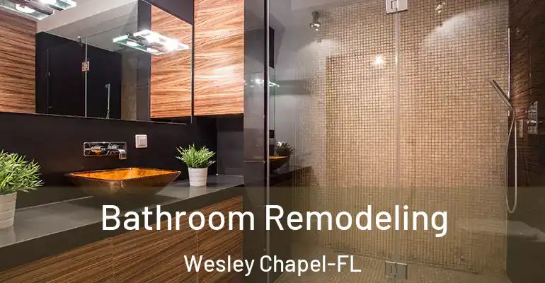 inner Bathroom imggen Bathroom Remodeling Wesley Chapel-FL