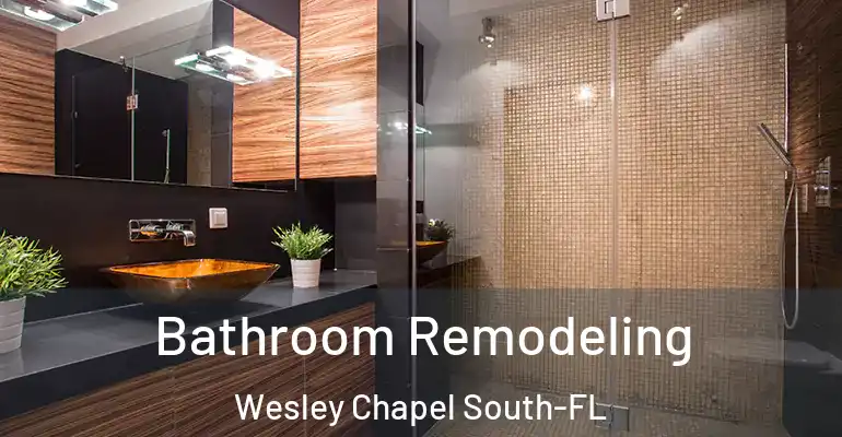 inner Bathroom imggen Bathroom Remodeling Wesley Chapel South-FL