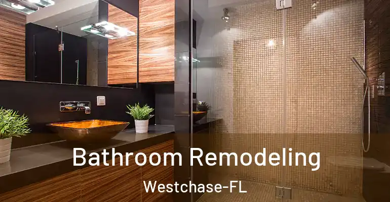 inner Bathroom imggen Bathroom Remodeling Westchase-FL