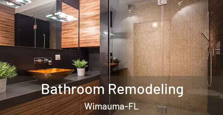 inner Bathroom imggen Bathroom Remodeling Wimauma-FL