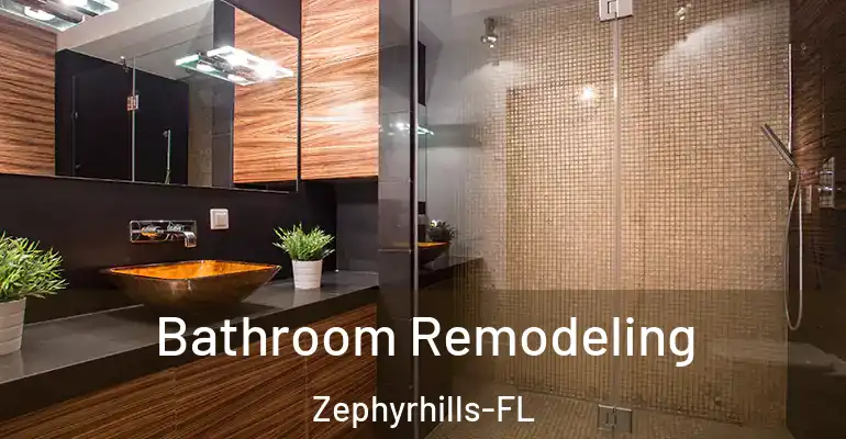 inner Bathroom imggen Bathroom Remodeling Zephyrhills-FL