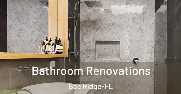inner Bathroom imggen Bathroom Renovations Bee Ridge-FL