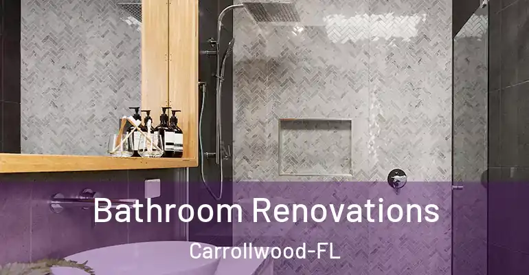 inner Bathroom imggen Bathroom Renovations Carrollwood-FL