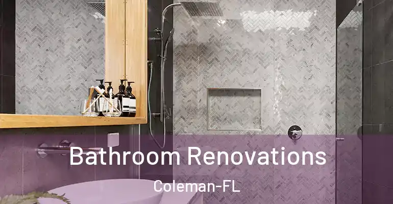 inner Bathroom imggen Bathroom Renovations Coleman-FL