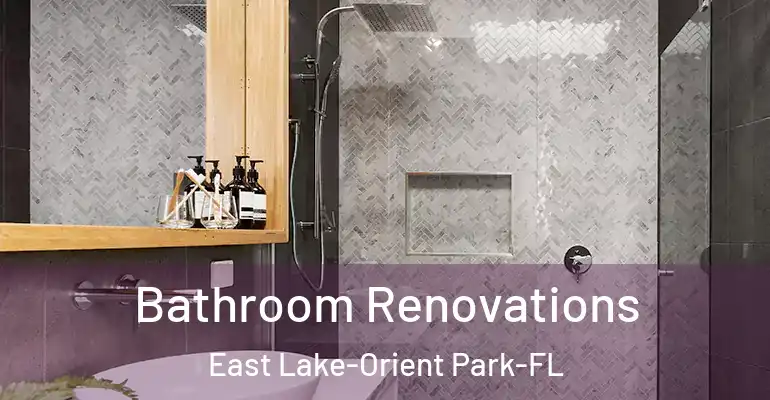 inner Bathroom imggen Bathroom Renovations East Lake-Orient Park-FL