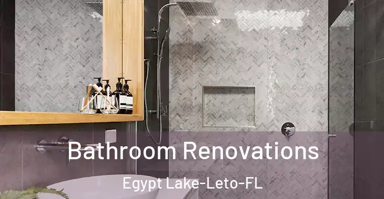 inner Bathroom imggen Bathroom Renovations Egypt Lake-Leto-FL