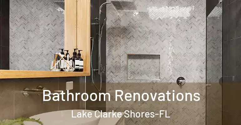 inner Bathroom imggen Bathroom Renovations Lake Clarke Shores-FL