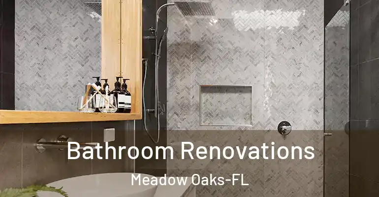 inner Bathroom imggen Bathroom Renovations Meadow Oaks-FL