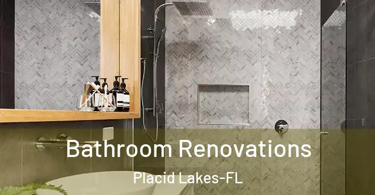 inner Bathroom imggen Bathroom Renovations Placid Lakes-FL