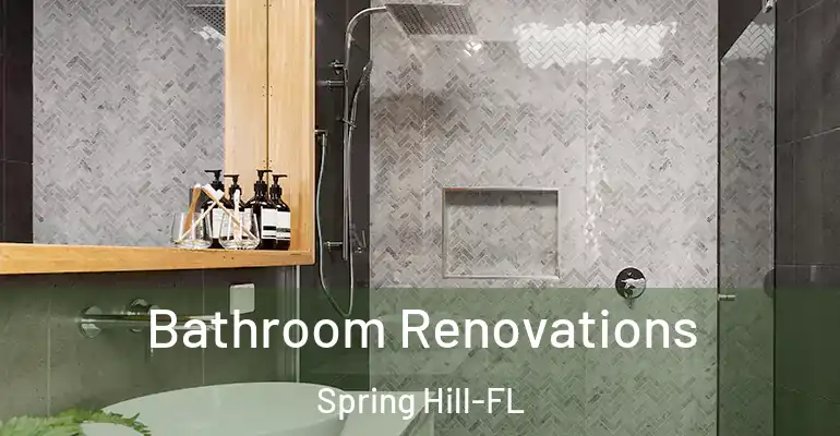 inner Bathroom imggen Bathroom Renovations Spring Hill-FL