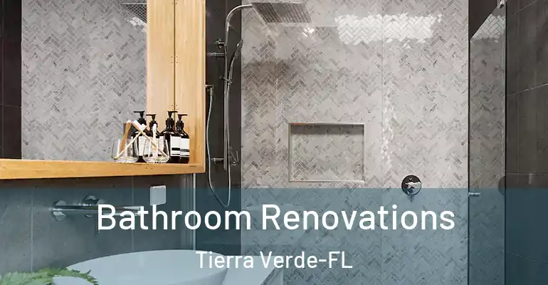 inner Bathroom imggen Bathroom Renovations Tierra Verde-FL