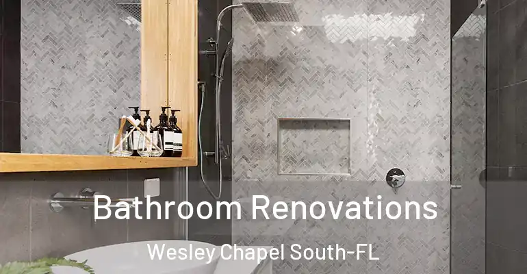 inner Bathroom imggen Bathroom Renovations Wesley Chapel South-FL