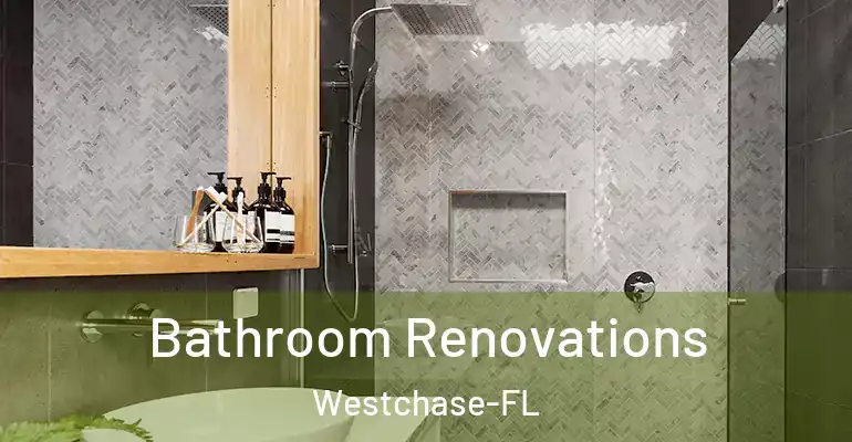inner Bathroom imggen Bathroom Renovations Westchase-FL