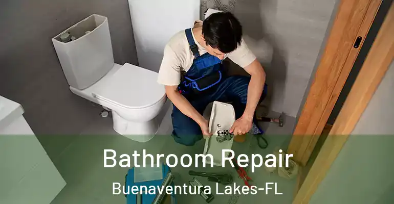 inner Bathroom imggen Bathroom Repair Buenaventura Lakes-FL
