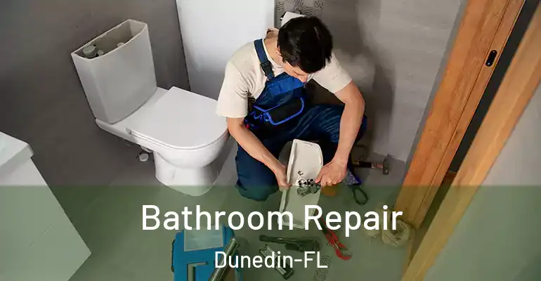 inner Bathroom imggen Bathroom Repair Dunedin-FL