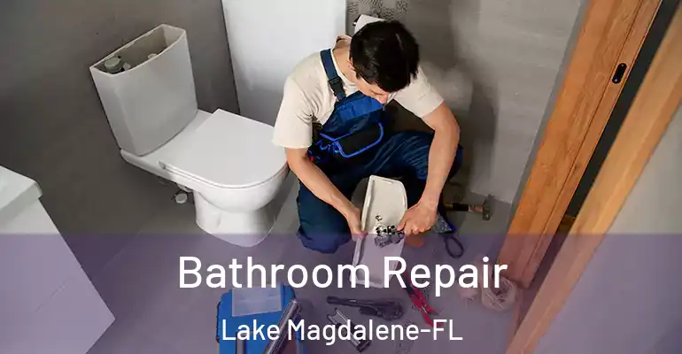 inner Bathroom imggen Bathroom Repair Lake Magdalene-FL