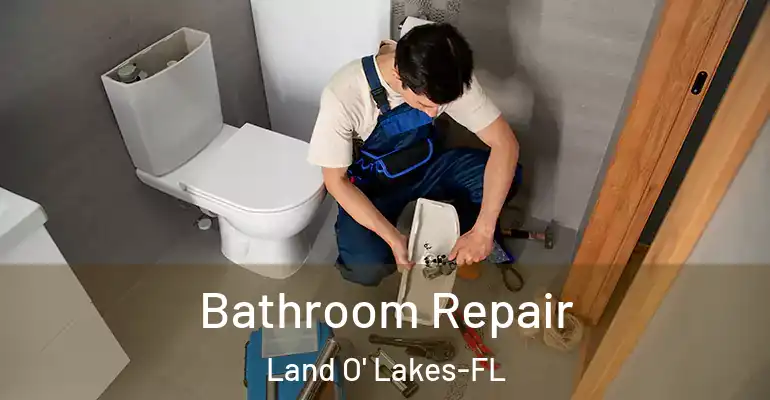 inner Bathroom imggen Bathroom Repair Land O' Lakes-FL