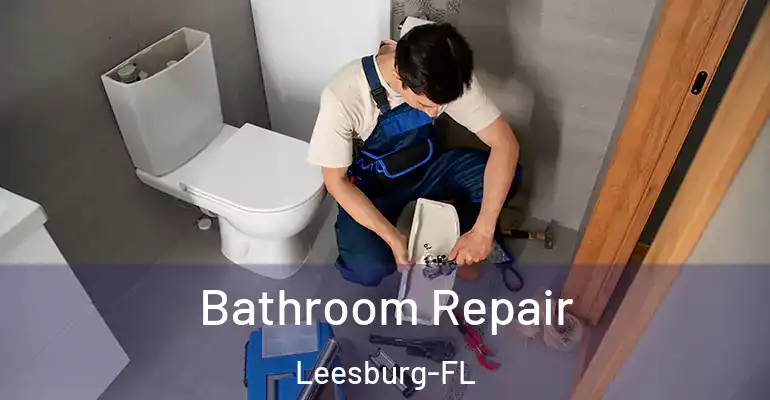 inner Bathroom imggen Bathroom Repair Leesburg-FL