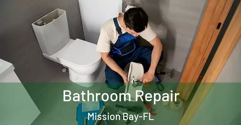 inner Bathroom imggen Bathroom Repair Mission Bay-FL