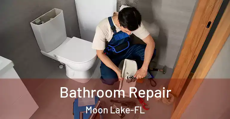 inner Bathroom imggen Bathroom Repair Moon Lake-FL