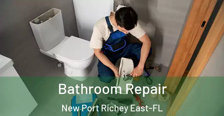 inner Bathroom imggen Bathroom Repair New Port Richey East-FL