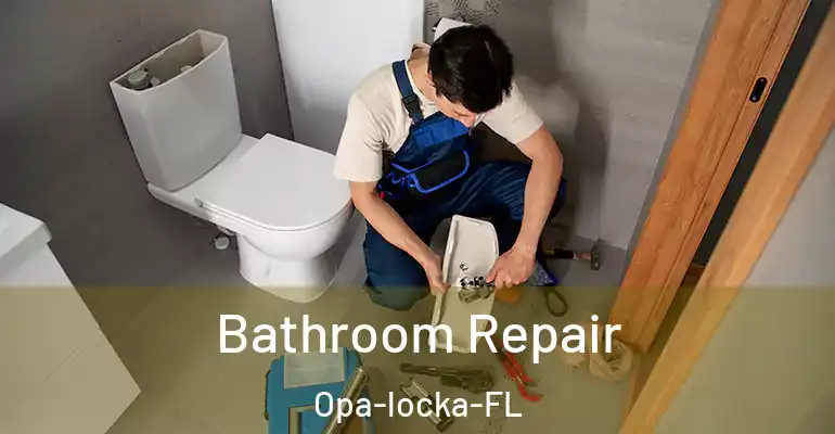 inner Bathroom imggen Bathroom Repair Opa-locka-FL