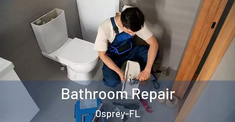 inner Bathroom imggen Bathroom Repair Osprey-FL