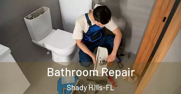 inner Bathroom imggen Bathroom Repair Shady Hills-FL