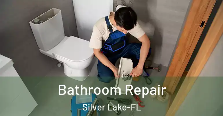 inner Bathroom imggen Bathroom Repair Silver Lake-FL