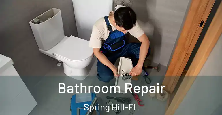 inner Bathroom imggen Bathroom Repair Spring Hill-FL