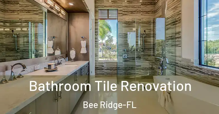 inner Bathroom imggen Bathroom Tile Renovation Bee Ridge-FL
