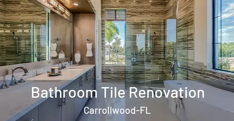 inner Bathroom imggen Bathroom Tile Renovation Carrollwood-FL
