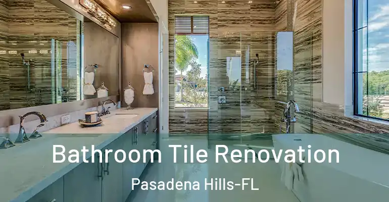 inner Bathroom imggen Bathroom Tile Renovation Pasadena Hills-FL