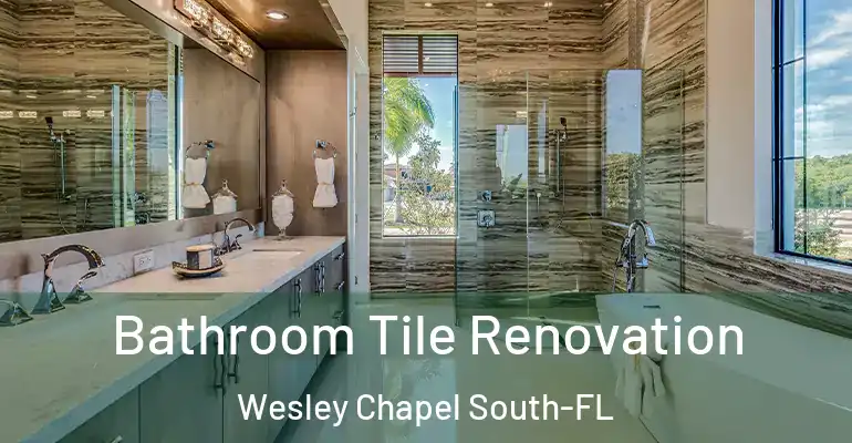 inner Bathroom imggen Bathroom Tile Renovation Wesley Chapel South-FL
