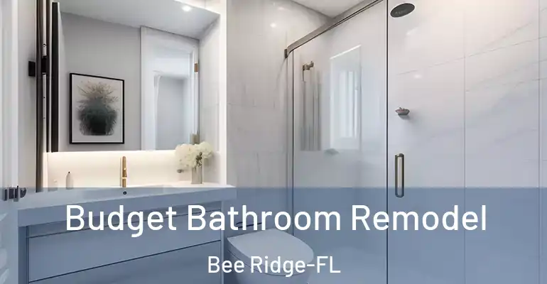 inner Bathroom imggen Budget Bathroom Remodel Bee Ridge-FL