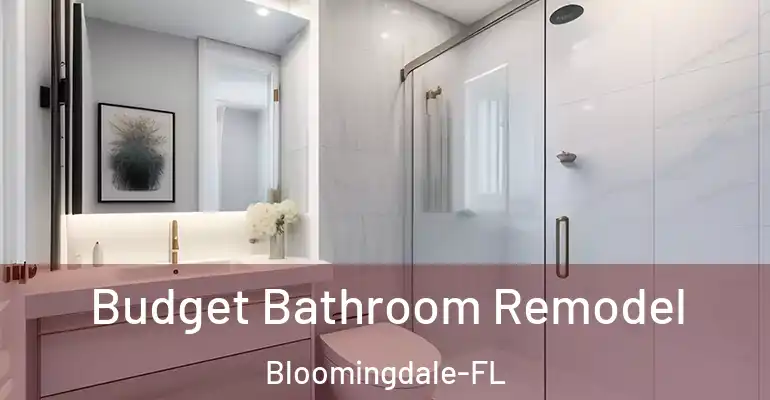 inner Bathroom imggen Budget Bathroom Remodel Bloomingdale-FL