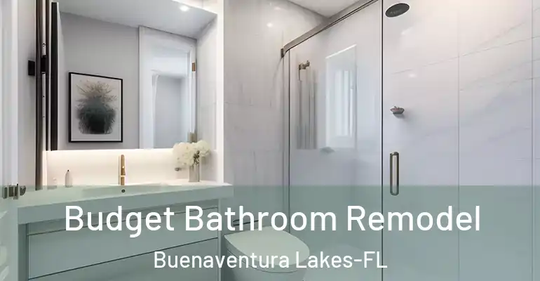 inner Bathroom imggen Budget Bathroom Remodel Buenaventura Lakes-FL