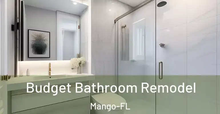 inner Bathroom imggen Budget Bathroom Remodel Mango-FL