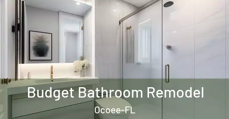 inner Bathroom imggen Budget Bathroom Remodel Ocoee-FL