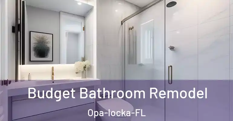inner Bathroom imggen Budget Bathroom Remodel Opa-locka-FL