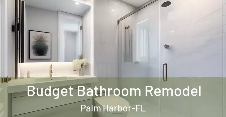 inner Bathroom imggen Budget Bathroom Remodel Palm Harbor-FL