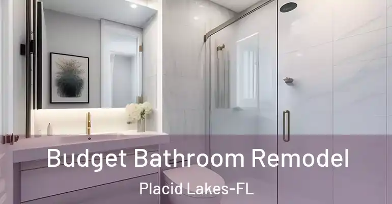 inner Bathroom imggen Budget Bathroom Remodel Placid Lakes-FL
